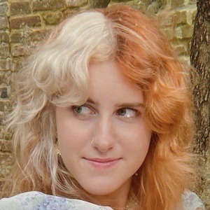 Graytulip Profile Picture