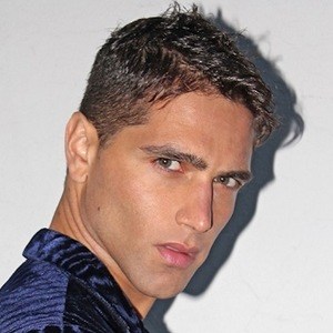 Fabio Mancini Profile Picture