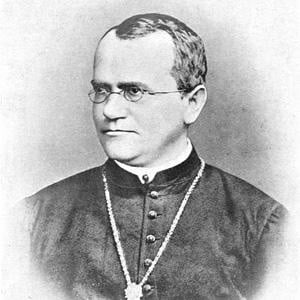Gregor Mendel Profile Picture