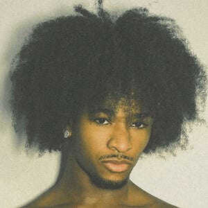 Devin Neal Profile Picture