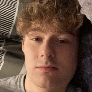PolarSaurusRex Profile Picture