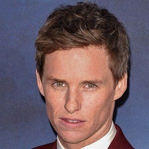 Eddie Redmayne Profile Picture