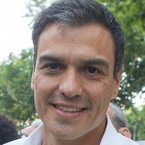 Pedro Sánchez Profile Picture