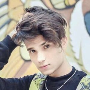 Ansh Singh Profile Picture