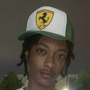 StanWill Profile Picture
