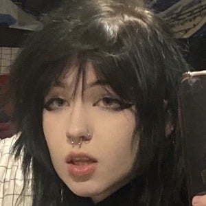sushiflavoredmilk Profile Picture