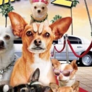 Beverly Hills Chihuahua 2