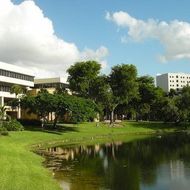 Florida International University