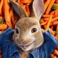 Peter Rabbit