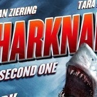 Sharknado 2: The Second One