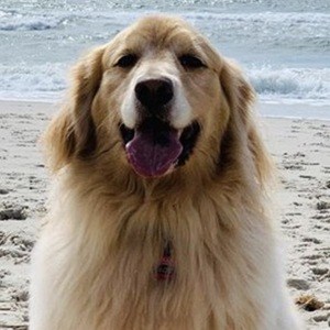 Look Its Sadie Headshot 4 of 6