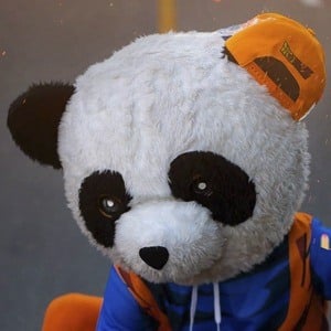Panda Aventurero Headshot 6 of 9