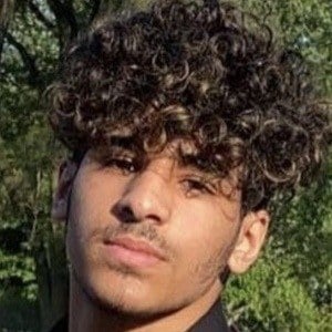 Walid Sharks Headshot 6 of 10