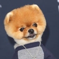 JiffPom