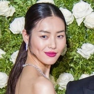 Liu Wen